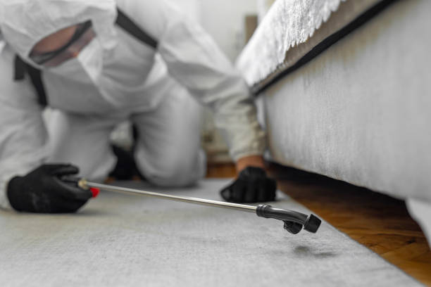 Professional Pest Control technician working in Concho County County, TX